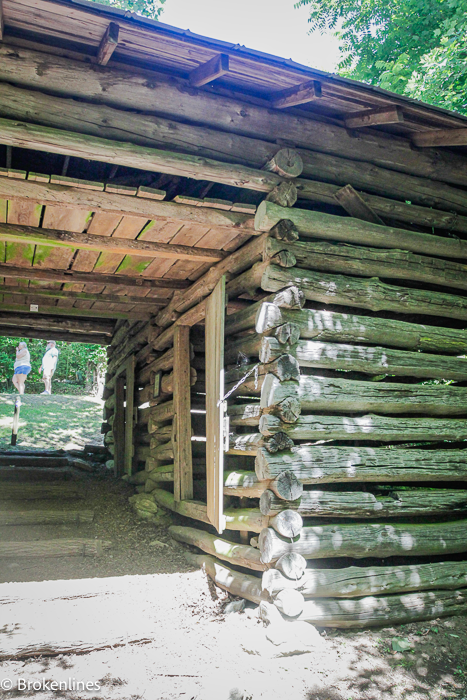 Photo 4